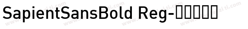 SapientSansBold Reg字体转换